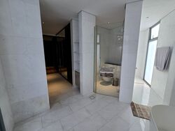 Whitley Road (D11), Semi-Detached #557127431